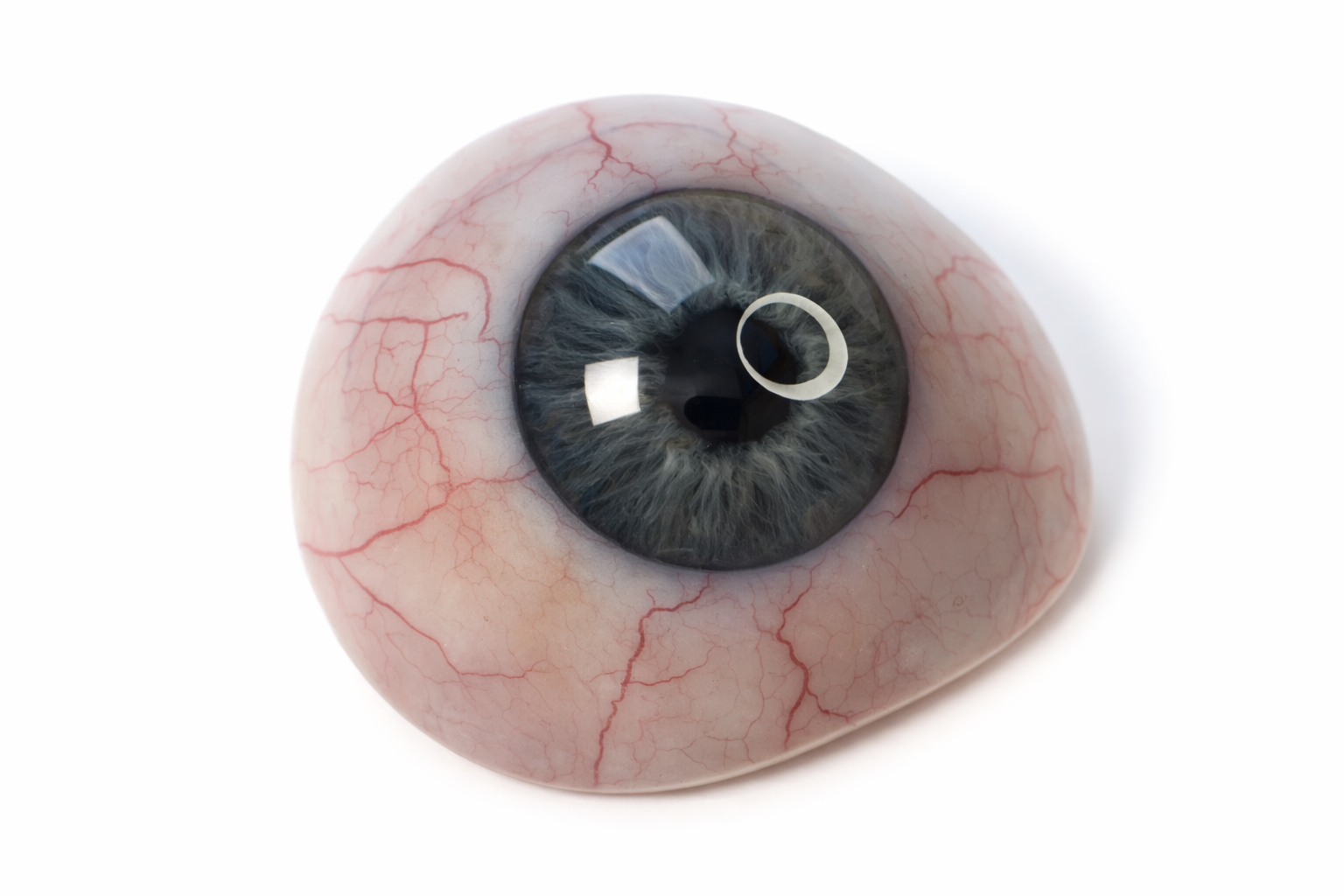 Prosthetic Eye From DIMA