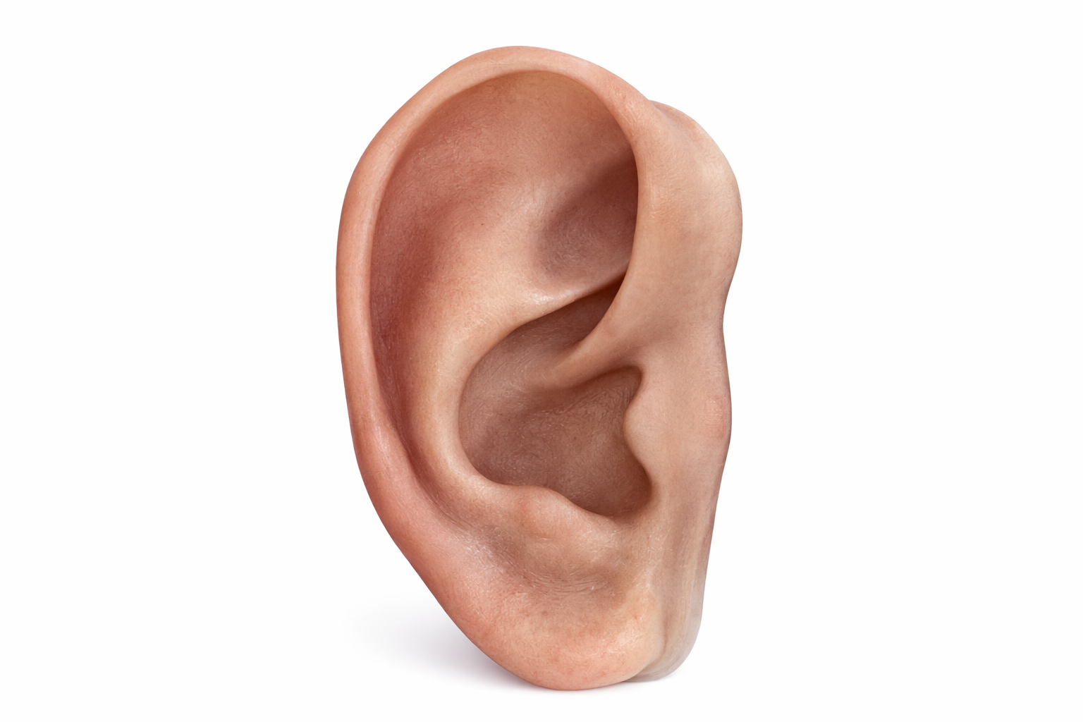 Prosthetic Ear From DIMA